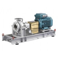 瑞典 Johnson CombiPro 康比 Pro 重型工藝泵：符合 API 610 標準的石化級離心泵