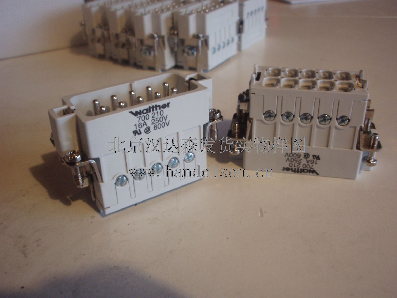 德國Walther Werke原廠插座插頭等